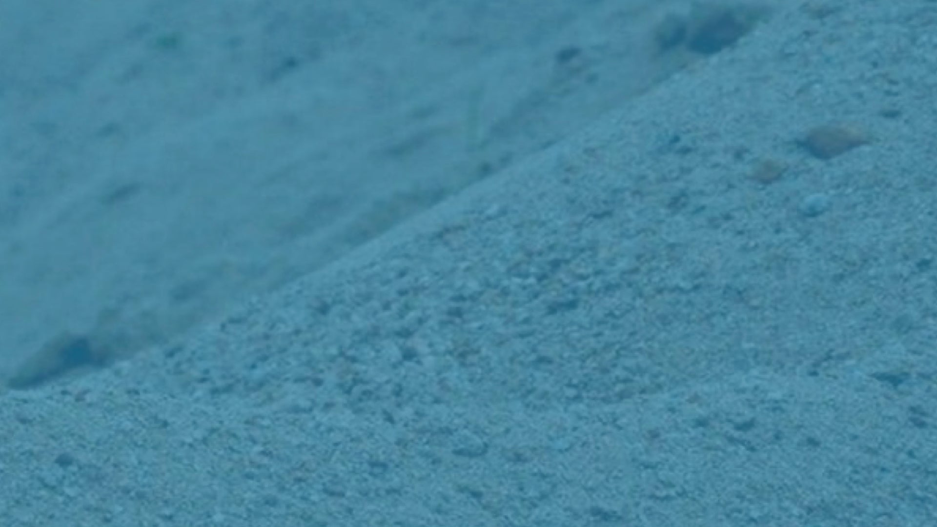 硬式隱形眼鏡,沙子、睫毛跑入了怎麼辦?