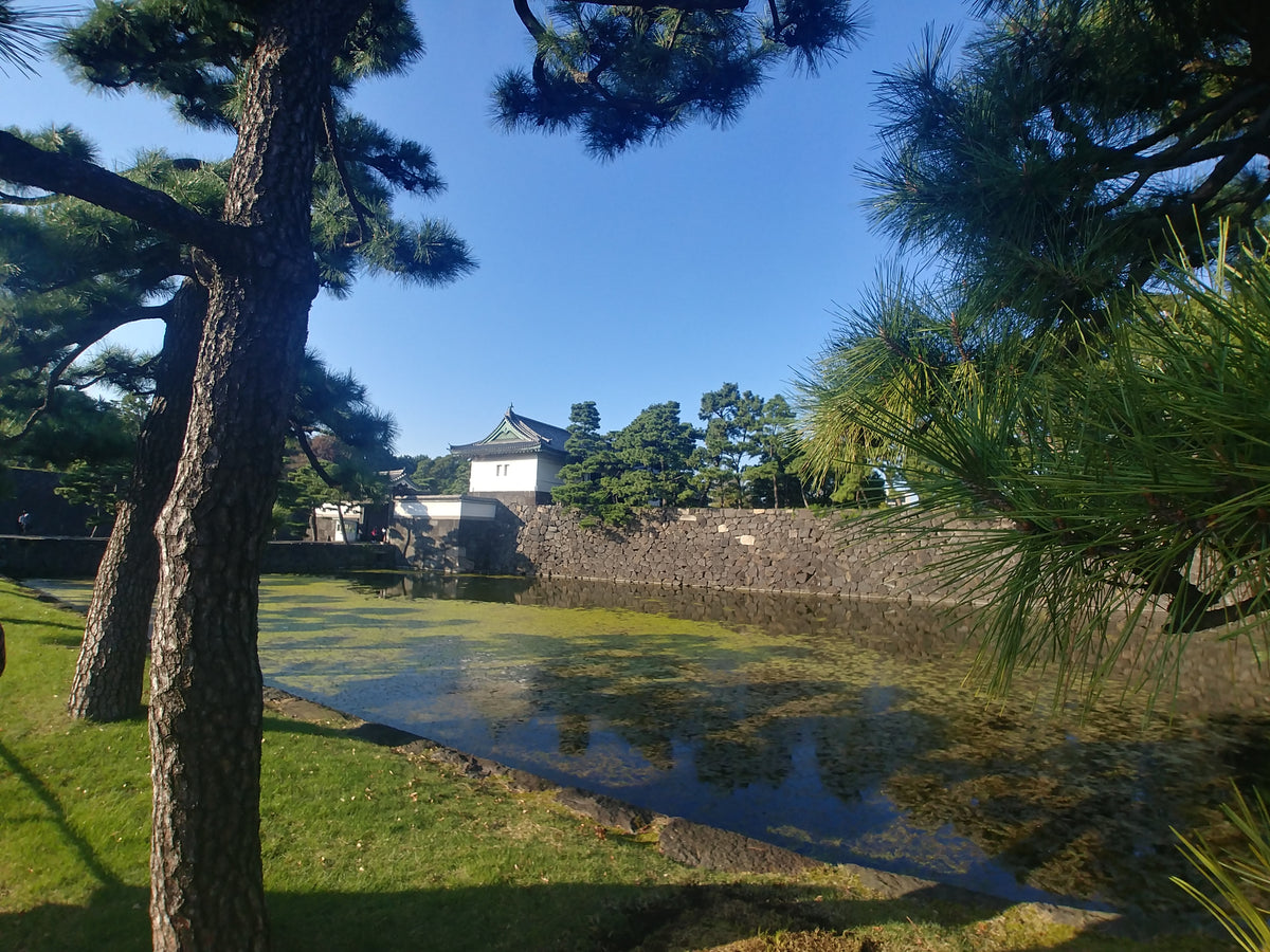 東京必逛景點：日本皇居「現場排票」全攻略！